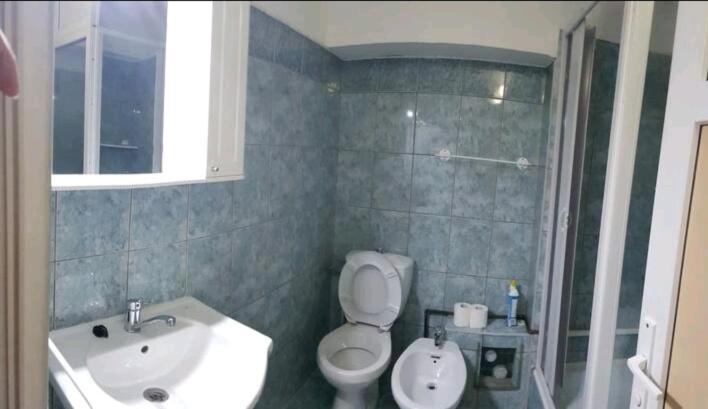 Down Town Timisoara Apartment Exterior photo